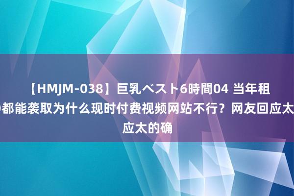 【HMJM-038】巨乳ベスト6時間04 当年租VCD都能袭取为什么现时付费视频网站不行？网友回应太的确