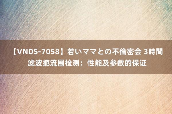 【VNDS-7058】若いママとの不倫密会 3時間 滤波扼流圈检测：性能及参数的保证