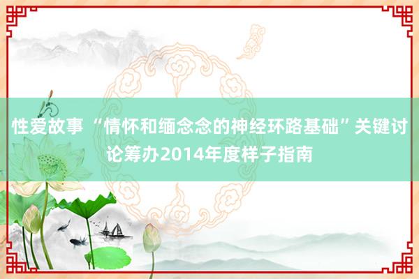 性爱故事 “情怀和缅念念的神经环路基础”关键讨论筹办2014年度样子指南