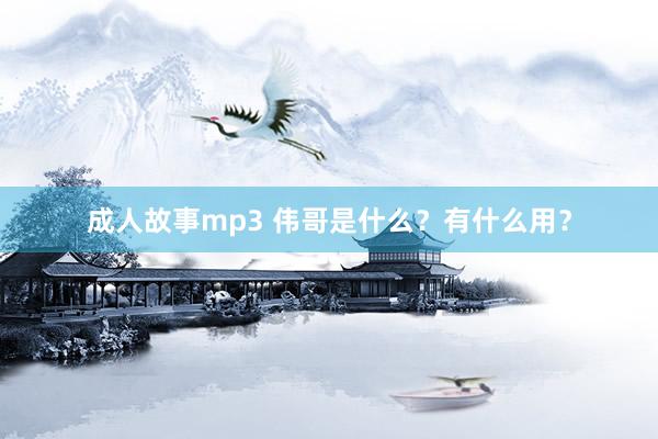 成人故事mp3 伟哥是什么？有什么用？