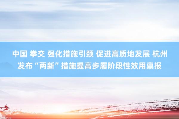 中国 拳交 强化措施引颈 促进高质地发展 杭州发布“两新”措施提高步履阶段性效用禀报