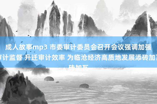 成人故事mp3 市委审计委员会召开会议强调加强审计监督 升迁审计效率 为临沧经济高质地发展添砖加瓦