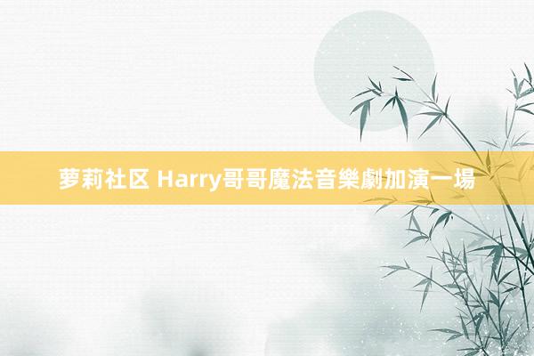 萝莉社区 Harry哥哥魔法音樂劇加演一場