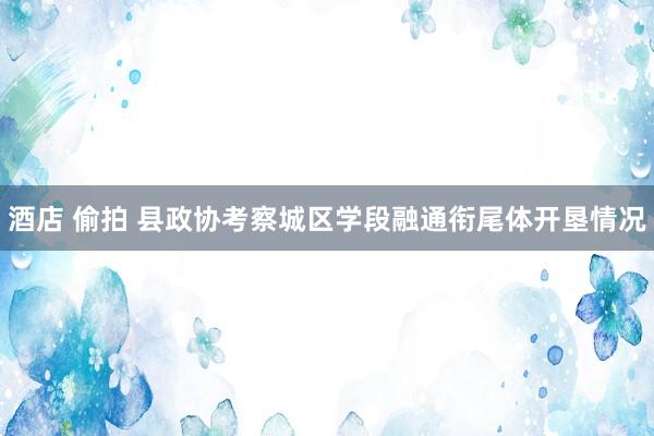 酒店 偷拍 县政协考察城区学段融通衔尾体开垦情况