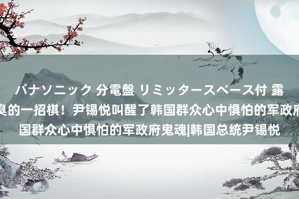 パナソニック 分電盤 リミッタースペース付 露出・半埋込両用形 最臭的一招棋！尹锡悦叫醒了韩国群众心中惧怕的军政府鬼魂|韩国总统尹锡悦