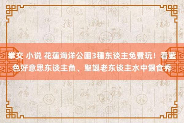 拳交 小说 花蓮海洋公園3種东谈主免費玩！看藍色好意思东谈主魚、聖誕老东谈主水中餵食秀